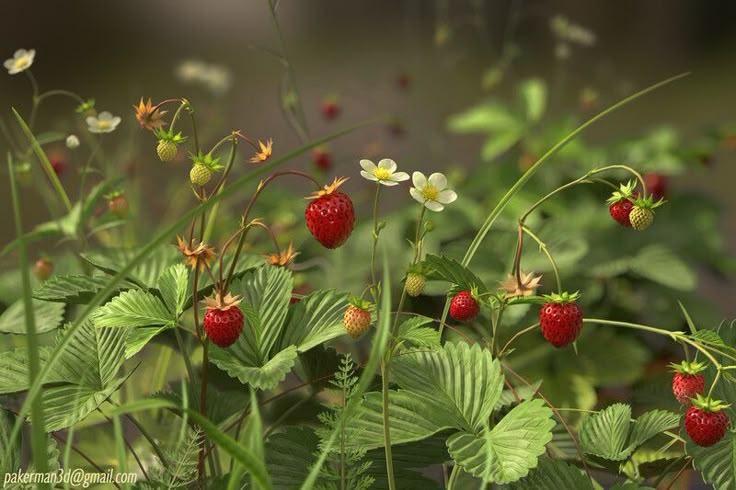 Berry Harvest Medley: Freshness in Every Bite
